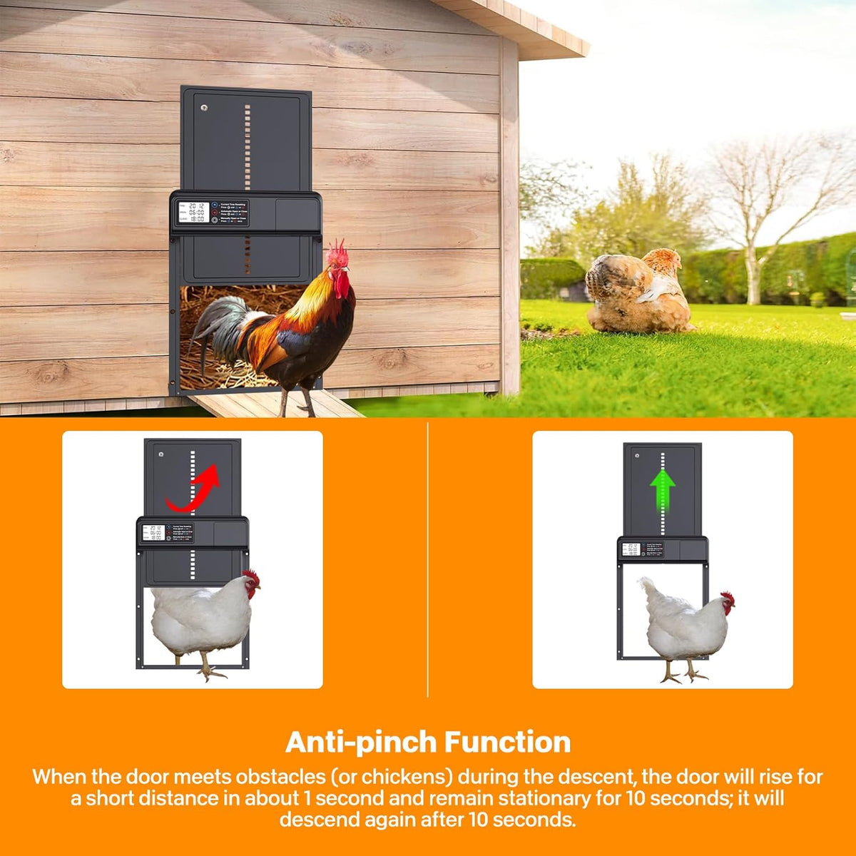 Smart Auto Chicken Coop Door — Programmable Timer, Anti-Pinch Safety, IPX4 Waterproof