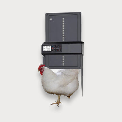 smart chicken coop door